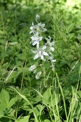 Killikus&reg; Fotographie